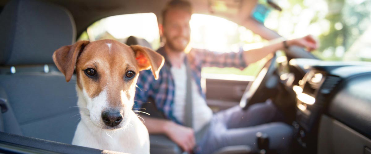 monthly vaccination and microchip clinics